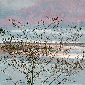W1